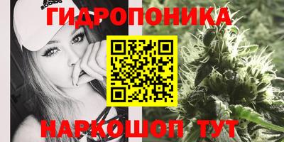 ALPHA PVP Нальчик